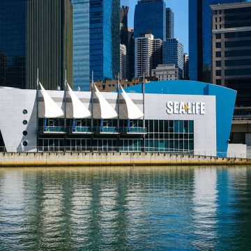 Il Sea Life Melbourne Aquarium è un'attrazione acquatica di livello mondiale situata sulle rive del fiume Yarra, con uno splendido Oceanario da 2,2 milioni di litri pieno di squali, razze e pesci tropicali. Offre ai visitatori un viaggio coinvolgente attraverso diversi habitat, tra cui un'impressionante esposizione sub-antartica che ospita una maestosa colonia di pinguini King e Gentoo.