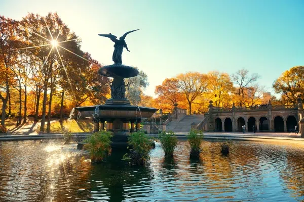 new york central park 1
