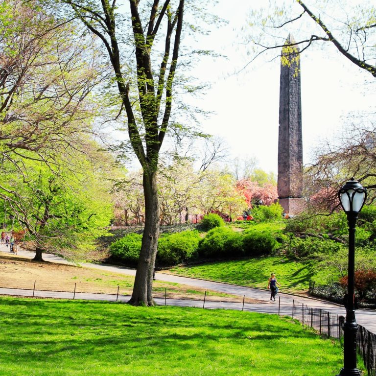 Caccia al tesoro e tour autoguidato a Central Park, New York 2 L'Ago di Cleopatra è un monolite di granito rosa di 3.500 anni, donato agli Stati Uniti dall'Egitto alla fine del XIX secolo, e rappresenta il più antico monumento all'aperto di New York.