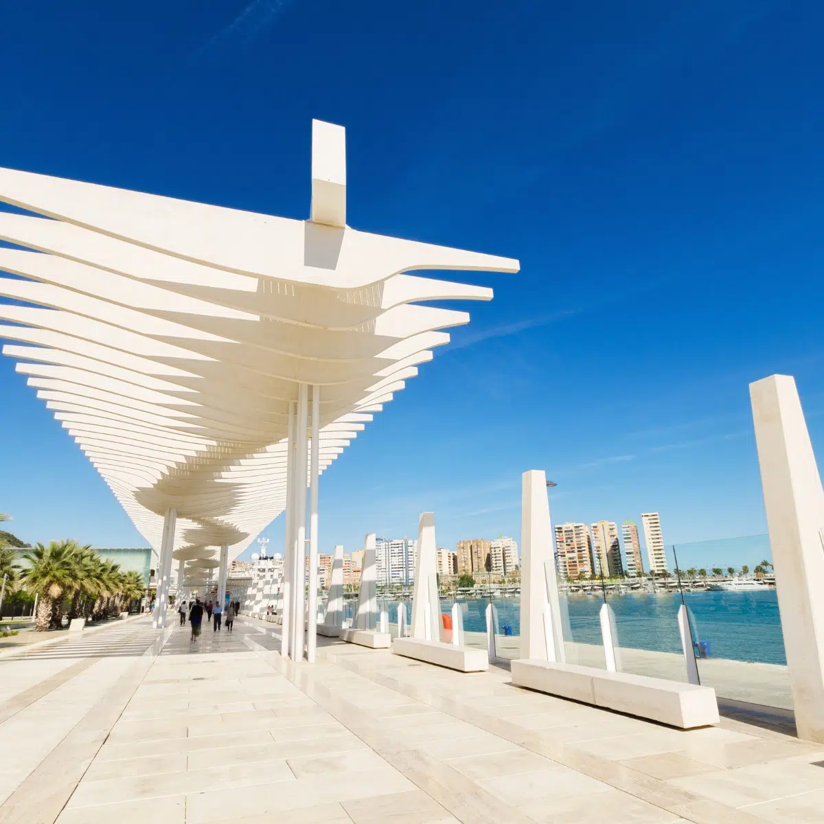 Schnitzeljagd und selbstgeführte Tour durch Málaga 2 Der Palmeral de las Sorpresas ist eine stilvolle Strandpromenade, die sich durch ihre hoch aufragende weiße, wellenförmige Pergola und üppige Palmengärten auszeichnet, die die urbane Energie der Stadt mit der mediterranen Küste verbinden.
