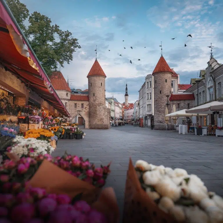 Caça ao tesouro e visita autoguiada a Tallinn 6 O Portão Viru é a pitoresca entrada principal da Cidade Velha de Talin, com duas torres de pedra icónicas cobertas de hera que conduzem os visitantes da cidade moderna para um mundo medieval preservado.