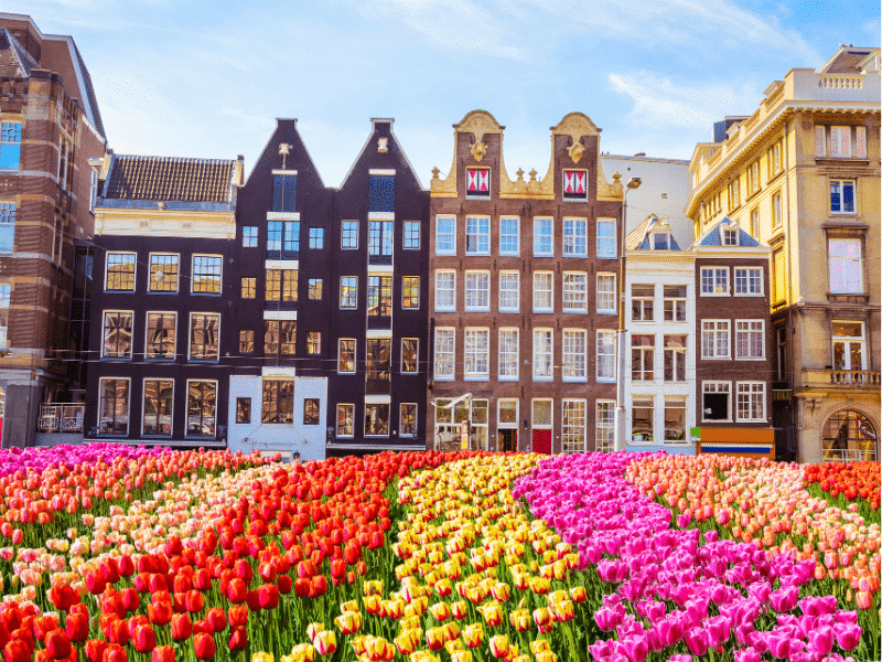 Curiosidades sobre Ámsterdam: Joyas ocultas, leyendas locales y cosas que hacer y ver 2 Datos curiosos sobre Ámsterdam y características principales