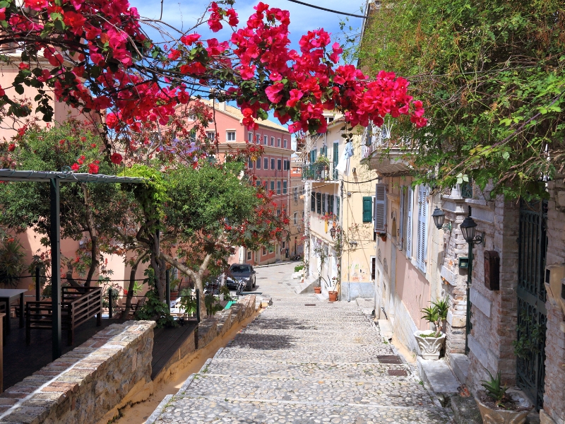 Les délices de Corfou : Le guide du voyageur pour les meilleures expériences de la ville 3 une rue en pierre avec des fleurs roses