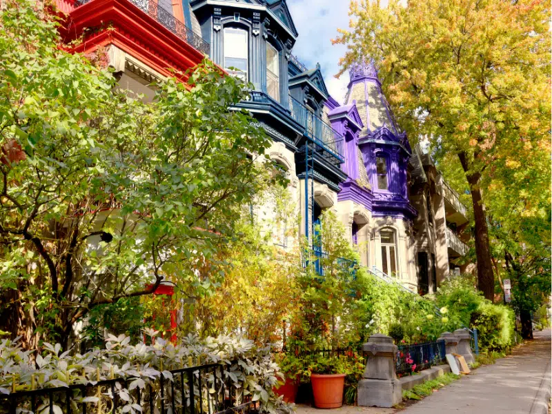 Διασκεδαστικά στοιχεία για το Μόντρεαλ: Κρυμμένοι πολύτιμοι λίθοι, τοπικοί θρύλοι και όσα πρέπει να κάνετε και να δείτε 2 Διασκεδαστικά στοιχεία για το Μόντρεαλ και βασικά χαρακτηριστικά