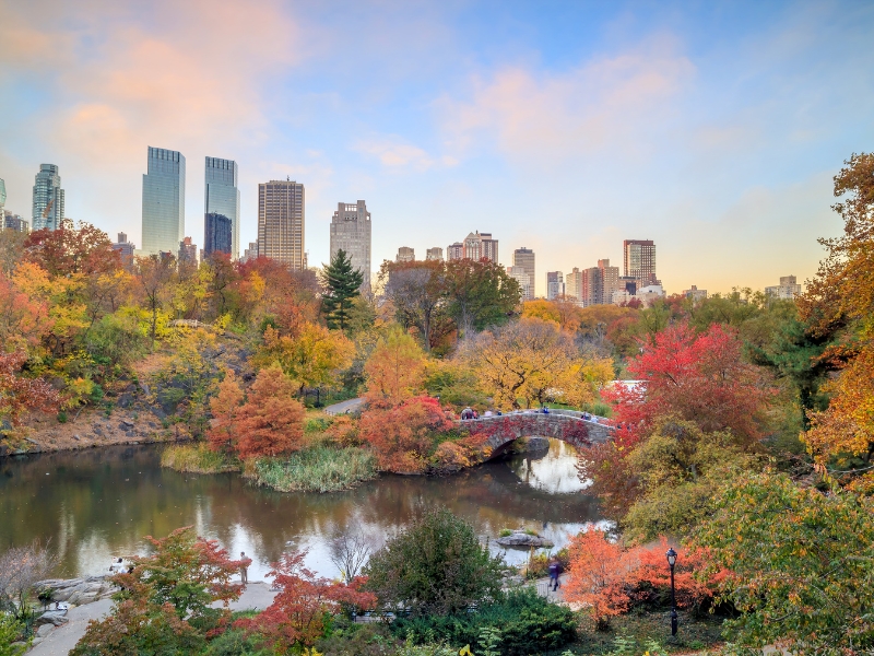 Faits amusants sur le Central Park de New York
