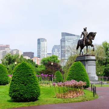 Boston Common is America’s oldest public park, offering scenic walking paths, historic monuments, seasonal events, and a lively green escape in the heart of Boston.