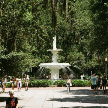 The Forsyth Park Fountain is a majestic white centerpiece framed by historic oaks and draped Spanish moss.