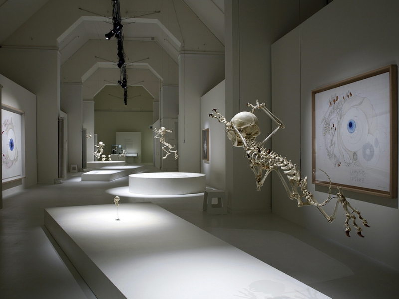 Naturhistorisches Museum Basel: Eine Reise durch die Zeit 3 Naturhistorisches Museum