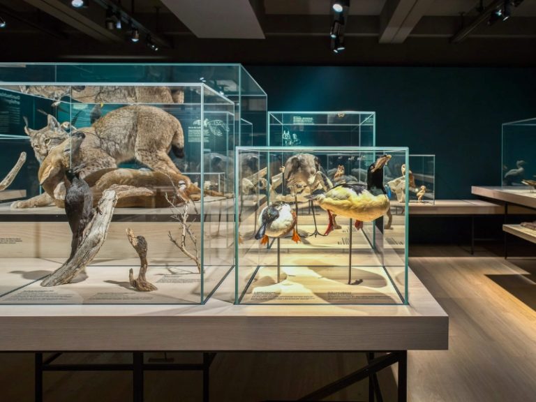 Naturhistorisches Museum