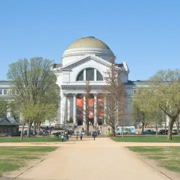 Het fascinerende Smithsonian National Museum of Natural History nodigt bezoekers uit om de wonderen der natuur te ontdekken aan de hand van wereldberoemde dinosaurusfossielen, zeldzame edelstenen, oude artefacten en interactieve wetenschappelijke tentoonstellingen.