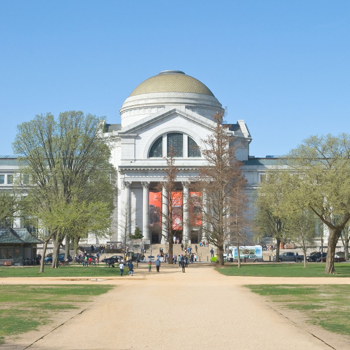 Speurtocht en rondleiding op eigen houtje door Washington D.C. 6 Het fascinerende Smithsonian National Museum of Natural History nodigt bezoekers uit om de wonderen der natuur te ontdekken aan de hand van wereldberoemde dinosaurusfossielen, zeldzame edelstenen, oude artefacten en interactieve wetenschappelijke tentoonstellingen.