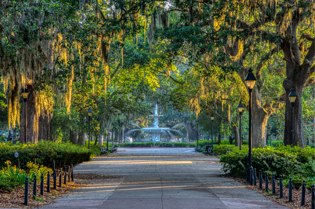 Faits amusants sur Savannah : joyaux cachés, légendes locales et choses à faire et à voir 2 Faits amusants sur Savannah et caractéristiques principales