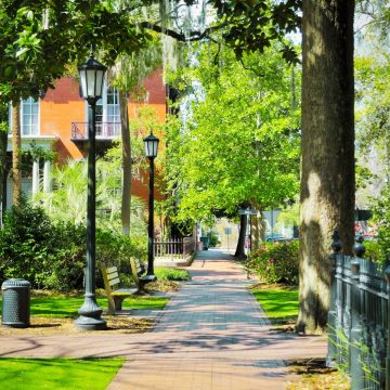 Monterey Square is a majestic historic landmark centered around the towering Pulaski Monument and framed by Savannah’s most stunning architecture.