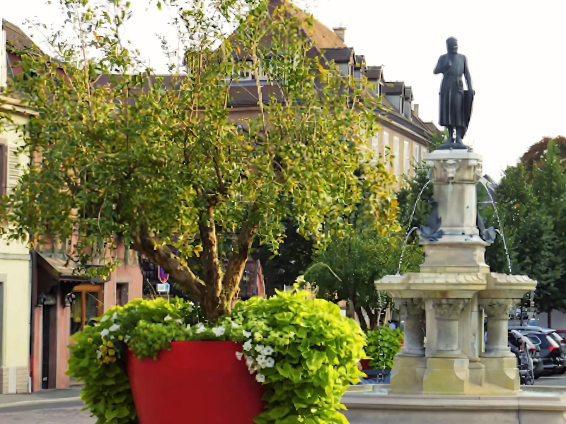 Fontaine Roesselmann : une icône intemporelle de Colmar 2 Fontaine Roesselmann à Colmar