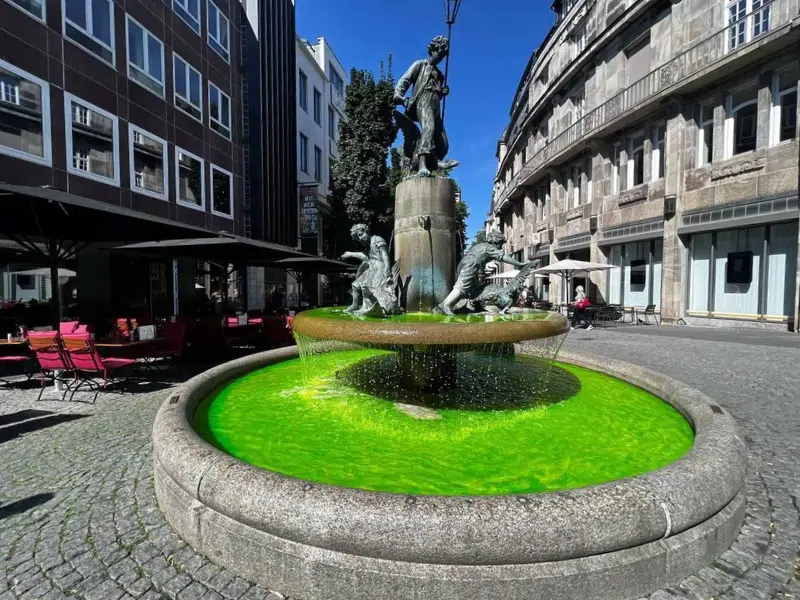 Martinsbrunnen: Symbool van liefdadigheid en mededogen 1 Martinsbrunnen