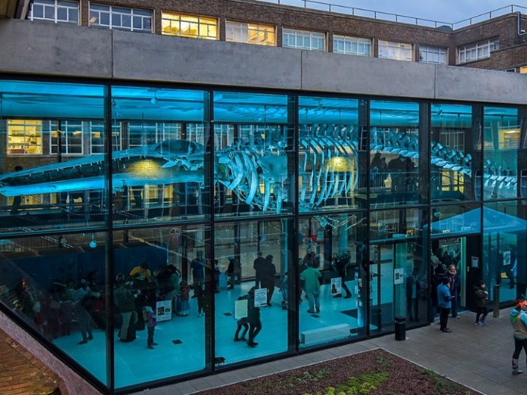 Museum of Zoology in Cambridge