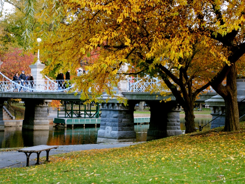 Jardim Público de Boston: Um Oásis intemporal 2 Jardim Público de Boston