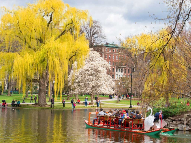 Jardin public de Boston