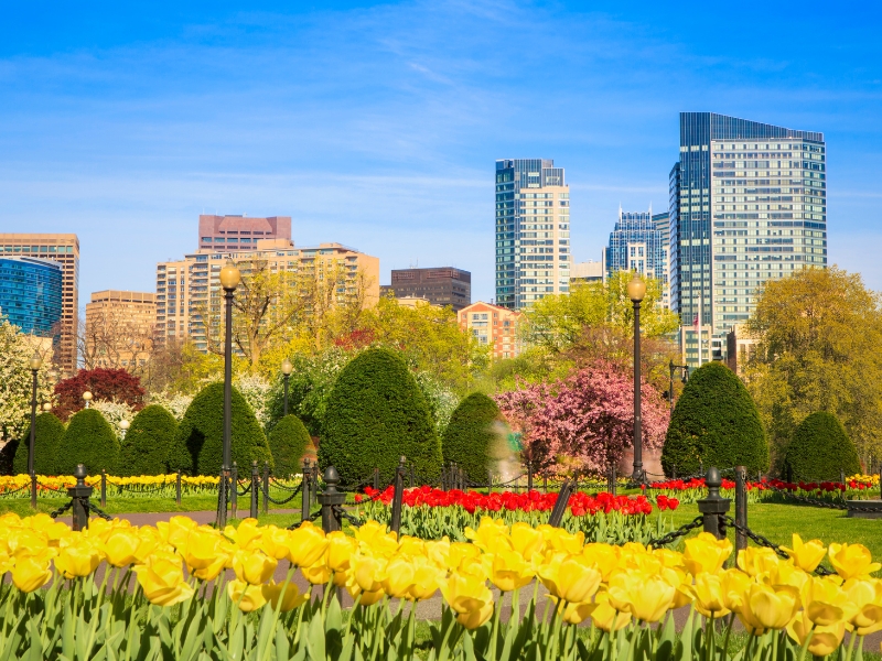 Jardim Público de Boston: Um Oásis intemporal 1 Jardim Público de Boston