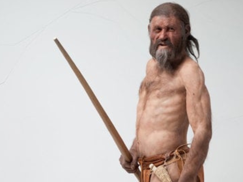 Musée du Tyrol du Sud : Un voyage dans le temps 2 musée archéologique du Haut-Adige