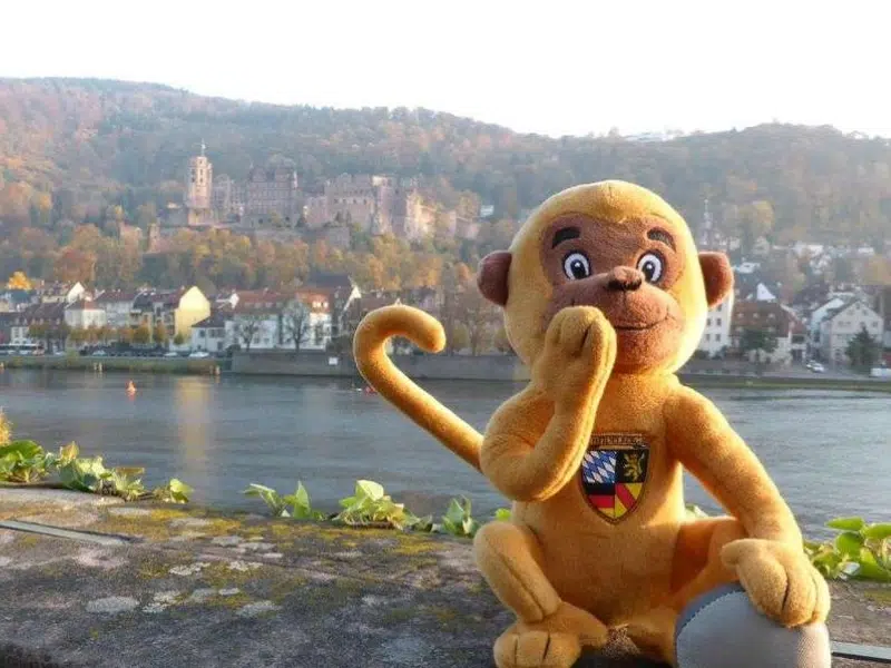 Brückenaffe: Das schelmische Maskottchen von Heidelberg 2 Brückenaffe in Heidelberg