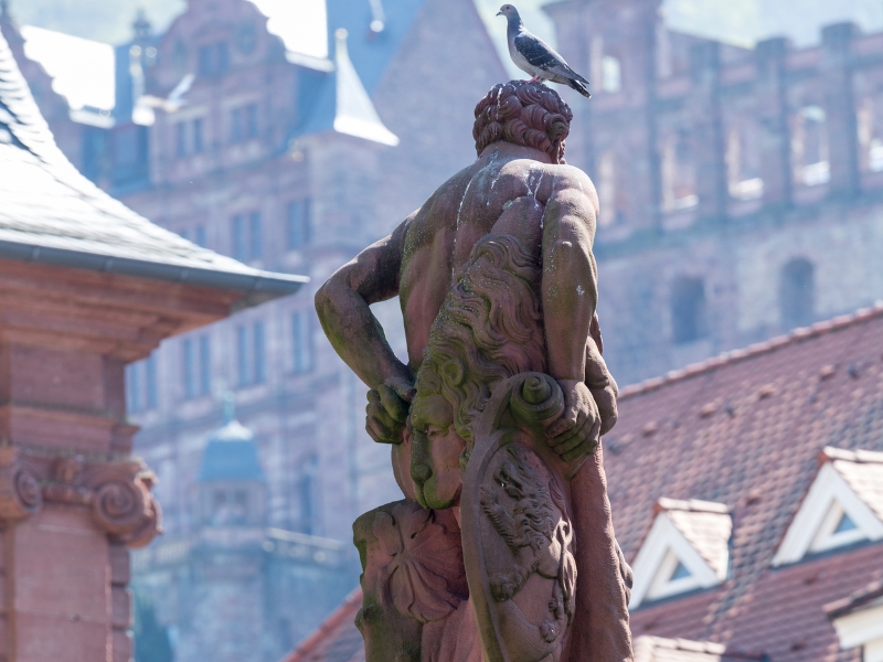 Heidelberger Marktplatz: Η καρδιά της ιστορικής Χαϊδελβέργης 2 Heidelberger Marktplatz