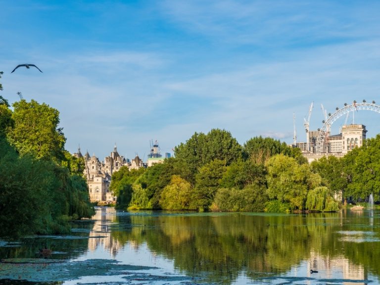 Saint James's Park in London