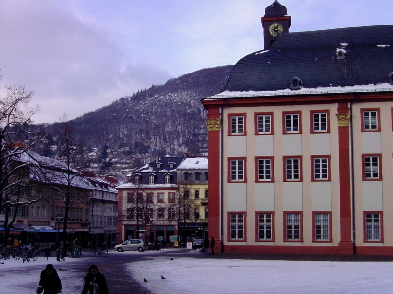 Universitätsplatz: il cuore della vita accademica di Heidelberg 3 Universitätsplatz a Heidelberg