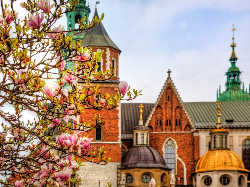La cathédrale de Wawel : Un joyau de la couronne de Cracovie 1 Cathédrale de Wawel à Cracovie