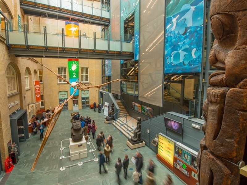 Entdecken Sie Das Weltmuseum Liverpool Ein Kulturschatz