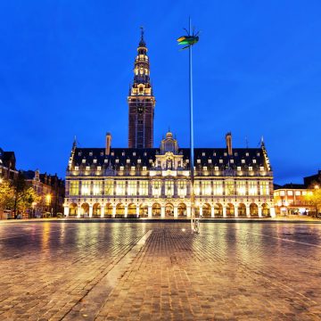 Ladeuzeplein è la piazza più grande di Lovanio, dominata dalla monumentale Biblioteca Universitaria e dalla suggestiva scultura "Totem" di un gigantesco scarabeo tempestato di gioielli.