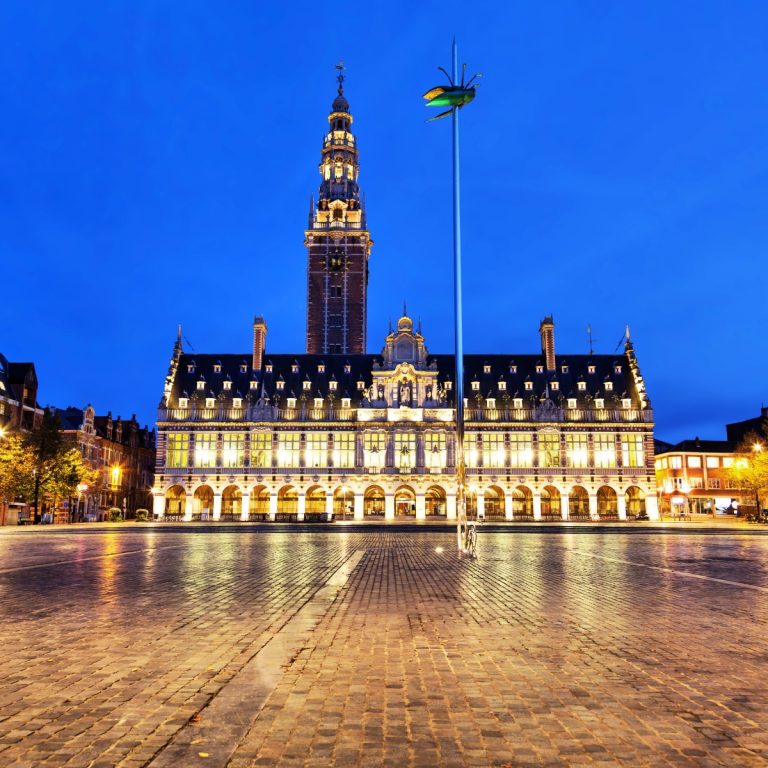 Caccia al tesoro e tour autoguidato a Lovanio 6 Ladeuzeplein è la piazza più grande di Lovanio, dominata dalla monumentale Biblioteca Universitaria e dalla suggestiva scultura "Totem" di un gigantesco scarabeo tempestato di gioielli.