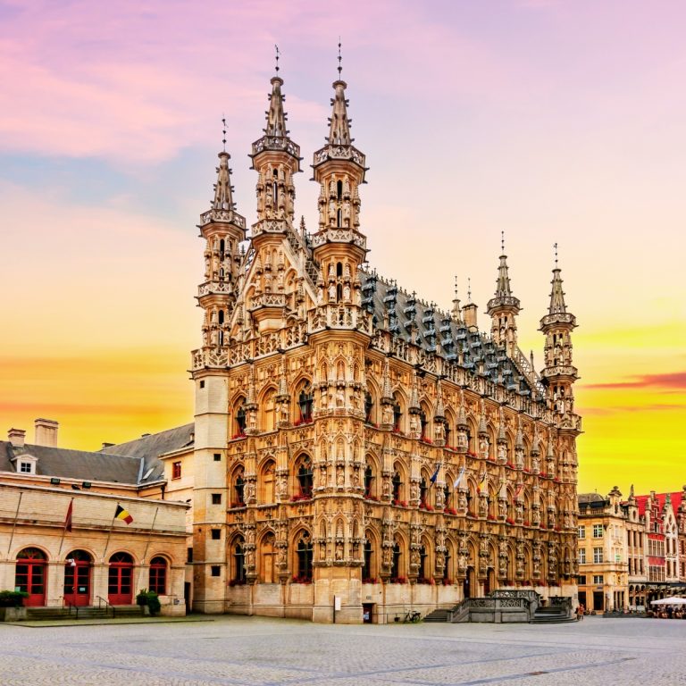 Caccia al tesoro e tour autoguidato a Lovanio 3 Il Municipio di Lovanio è un capolavoro dell'architettura tardo-gotica brabantina conosciuto in tutto il mondo, famoso per la sua facciata ornata da 236 statue di personaggi storici locali.