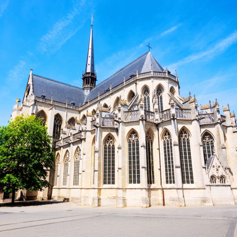 Caccia al tesoro e tour autoguidato a Lovanio 2 La Chiesa di San Pietro è uno splendido monumento gotico brabantino situato nel cuore di Lovanio, famoso per il suo imponente tesoro e per il capolavoro "L'Ultima Cena" di Dieric Bouts.