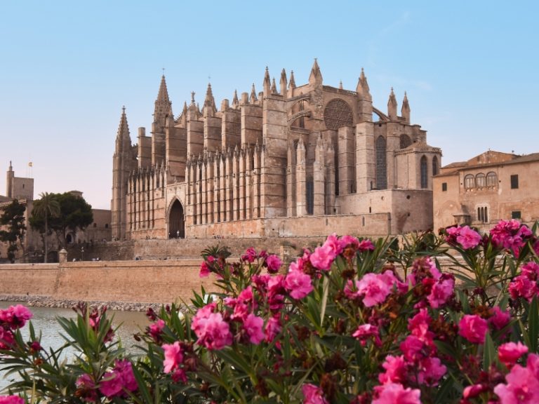 Mallorca Cathedral in Palma