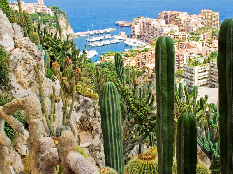 Jardins de Saint-Martin: Monacos bezaubernde Küstenoase 2 Jardins de Saint-Martin in Monaco