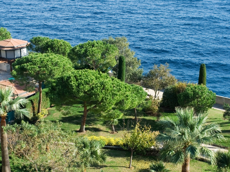 Jardins de Saint-Martin: Monacos bezaubernde Küstenoase 3 Jardins de Saint-Martin in Monaco