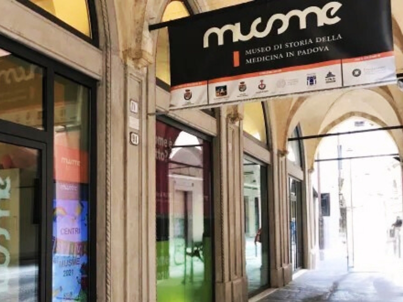 MUSME: Muzeum Historii Medycyny w Padwie 1 MUSME w Padwie