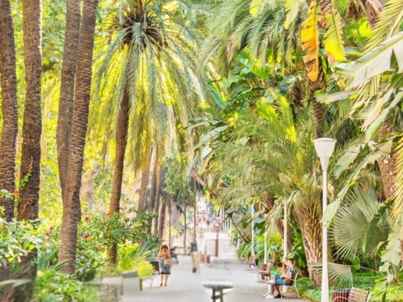 Parque de Málaga: Un oasis verde en el corazón de la ciudad 3 Parque de Málaga