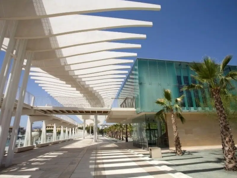 Palmeral de Las Sorpresas: Um oásis verdejante em Málaga 1 Palmeral de Las Sorpresas em Málaga