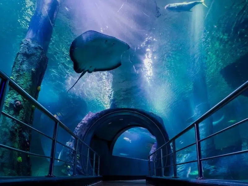 SEA LIFE Melbourne