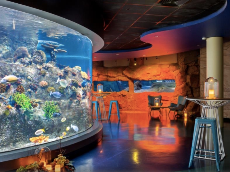 SEA LIFE Melbourne: Ein Unterwasserabenteuer im Herzen der Stadt 1 SEA LIFE Melbourne