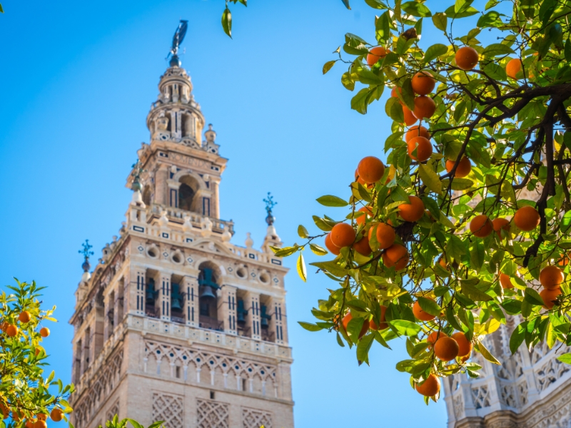 Catedral de Sevilla: meraviglia gotica e patrimonio dell'umanità 1 Cattedrale di Siviglia