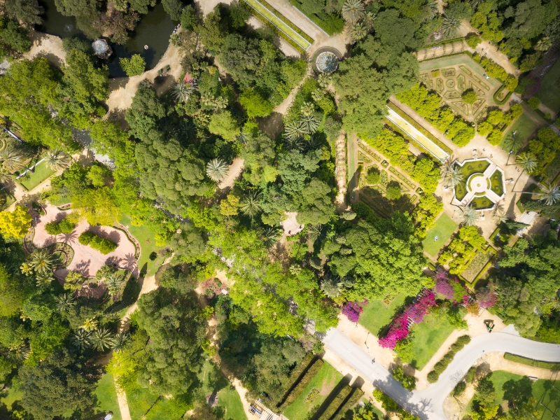 Estanque de los Lotos : Un joyau caché dans le Parque de María Luisa de Séville 3 Estanque de los Lotos à Séville