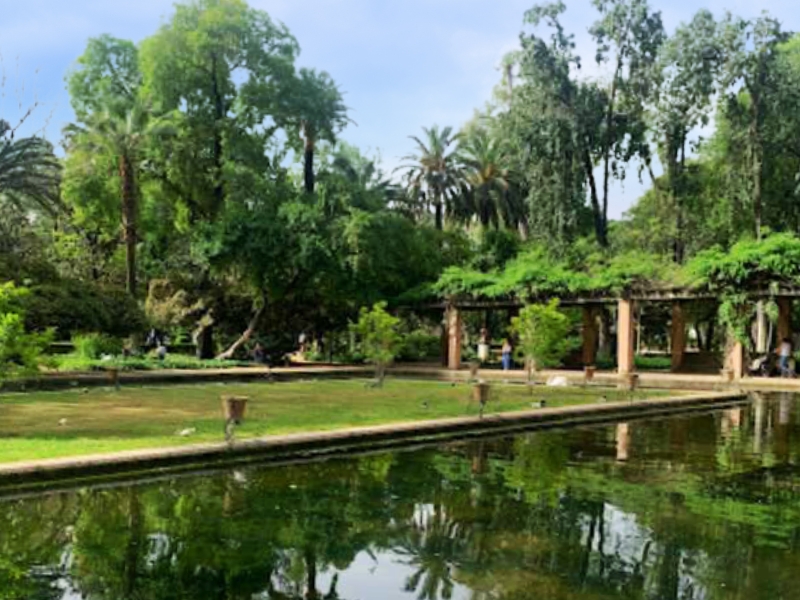 Estanque de los Lotos : Un joyau caché dans le Parque de María Luisa de Séville 2 Estanque de los Lotos à Séville