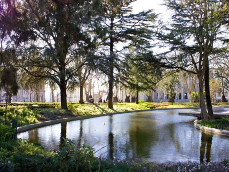 Jardim da Cordoaria: A Tranquil Oasis in the Heart of Porto 2 Jardim da Cordoaria in Porto