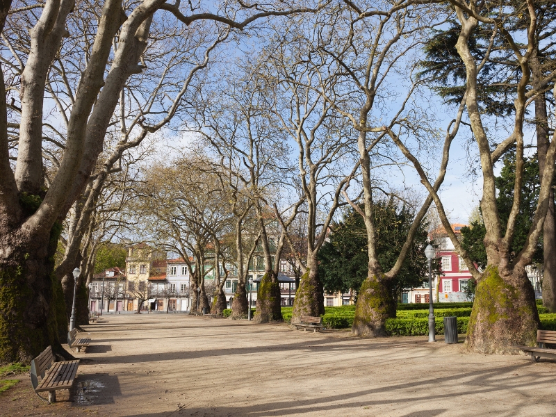 Jardim da Cordoaria: A Tranquil Oasis in the Heart of Porto 1 Jardim da Cordoaria in Porto