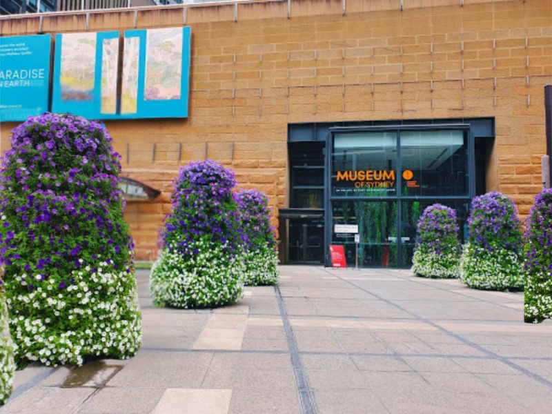 Museo di Sydney: Un viaggio attraverso la complessa storia della città 3 Museo di Sydney