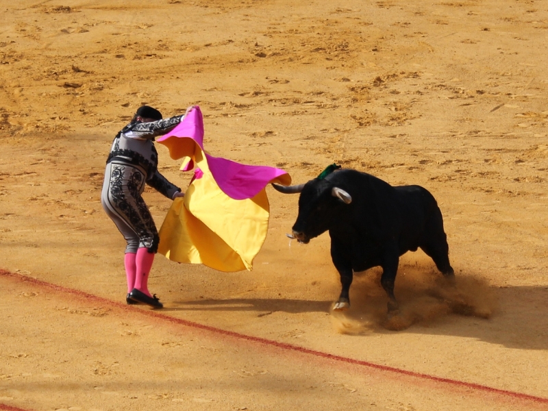 Plaza de Toros de la Real Maestranza : Un monument à la tradition espagnole à Séville 2 Plaza de toros à Séville