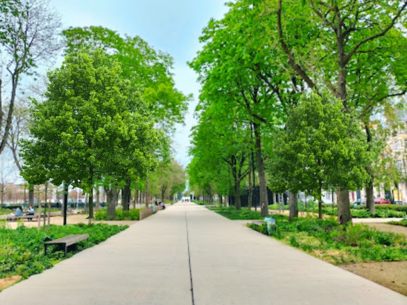 Square Colbert: Un battito di cuore di Reims 3 Piazza Colbert a Reims